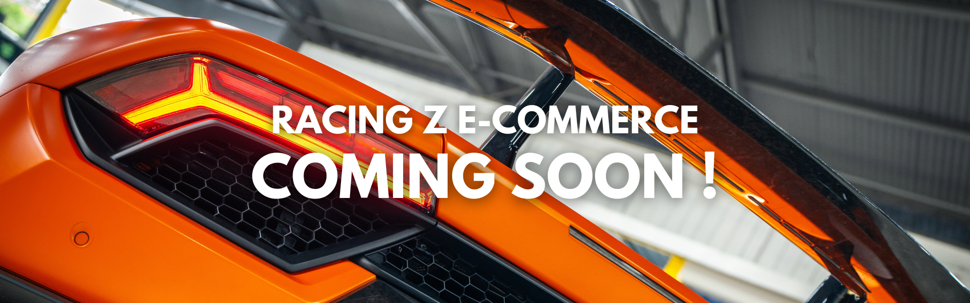 RZ E-COMMERCE COMING SOON!